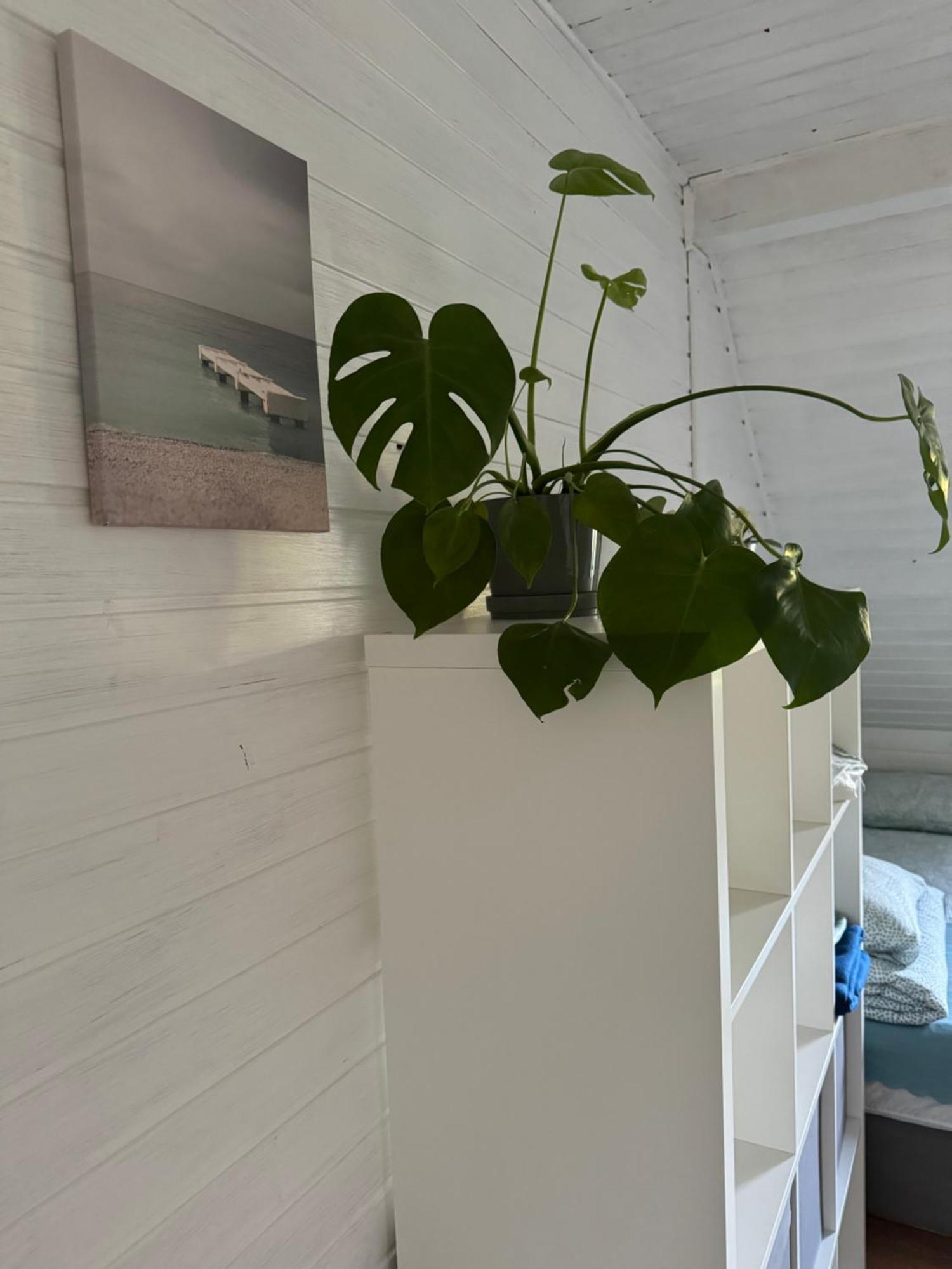 48C Domki letniskowe i apartament Pobierowo Eksteriør billede